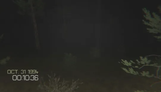 ��Ҫ���(�ֲ�����ð����)