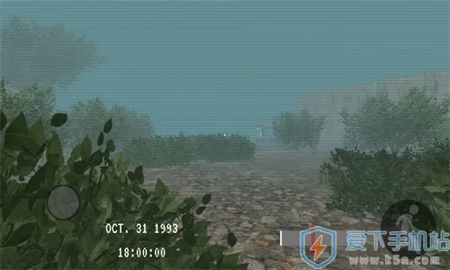 ��Ҫ���(�ֲ�����ð����)