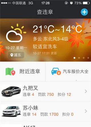 ����(Υ�²�ѯ����)