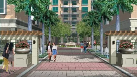 ������(�����罻ƽ̨)