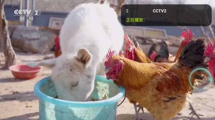 ���ӵ���2025���°汾