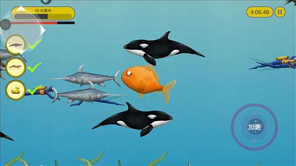 ��ζ������׿���ֻ���