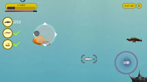 ��ζ������׿���ֻ���