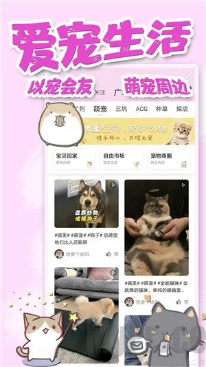 ������(�����罻ƽ̨)