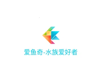 爱鱼奇最新手机版 爱鱼奇最新手机版
