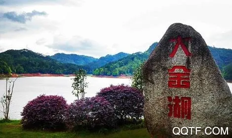 ���̩��2025���°汾