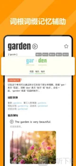 �ɴ�2025�ٷ�����