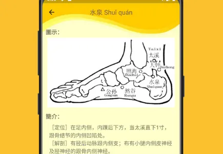人体穴位图解2025官方正版 人体穴位图解2025官方正版