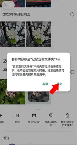 谷歌相册(照片管理软件) 谷歌相册(照片管理软件)