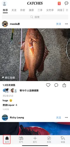 ���(�������ƽ̨)