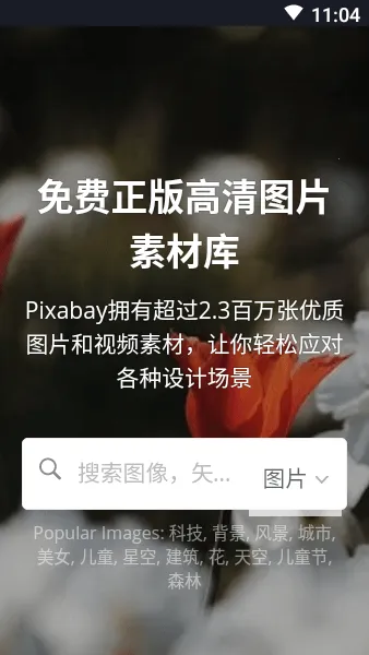 Pixabay(���Ȩ�ز�ƽ̨)