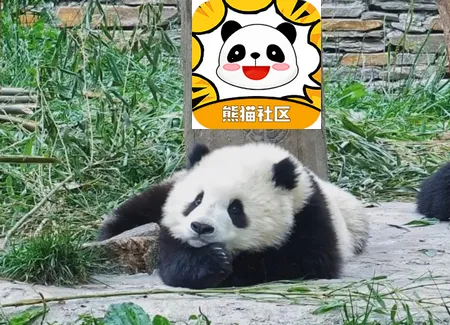 ��è����2026���°汾