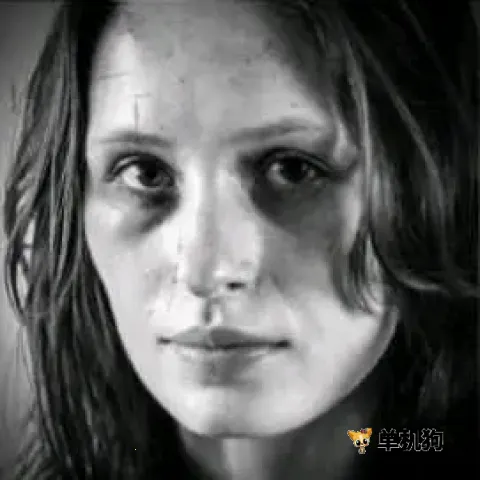 �����ҵ�ս��2026�ٷ����°汾