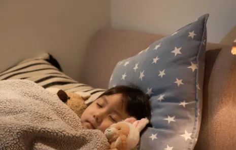 葵花睡眠 葵花睡眠