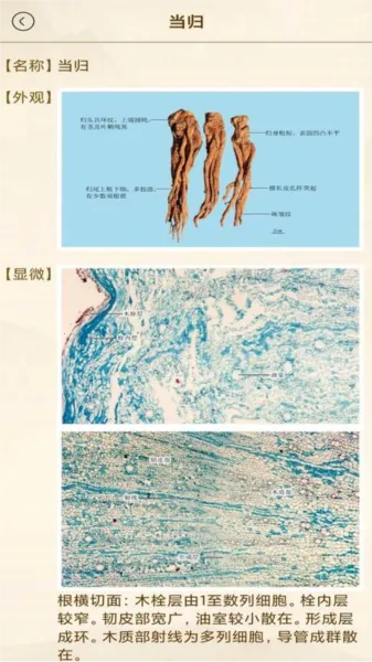 ��ҽ����2026�ٷ����°汾