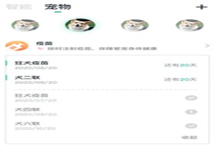 �γ����׿���ֻ���