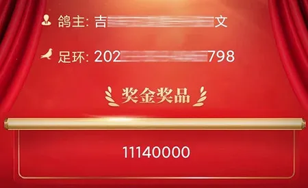 咕咕信鸽 咕咕信鸽