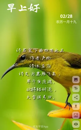 �����簲��׿���ֻ���
