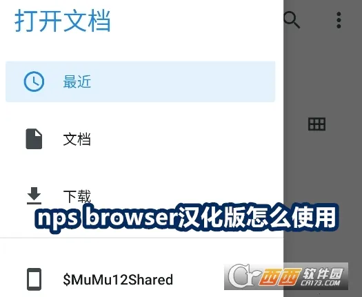 NPS Browser