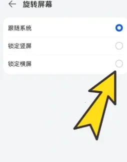 ����������ʰ�