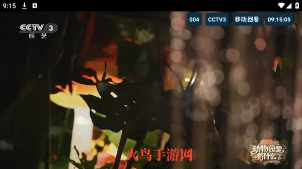 èTV�����2026���°汾