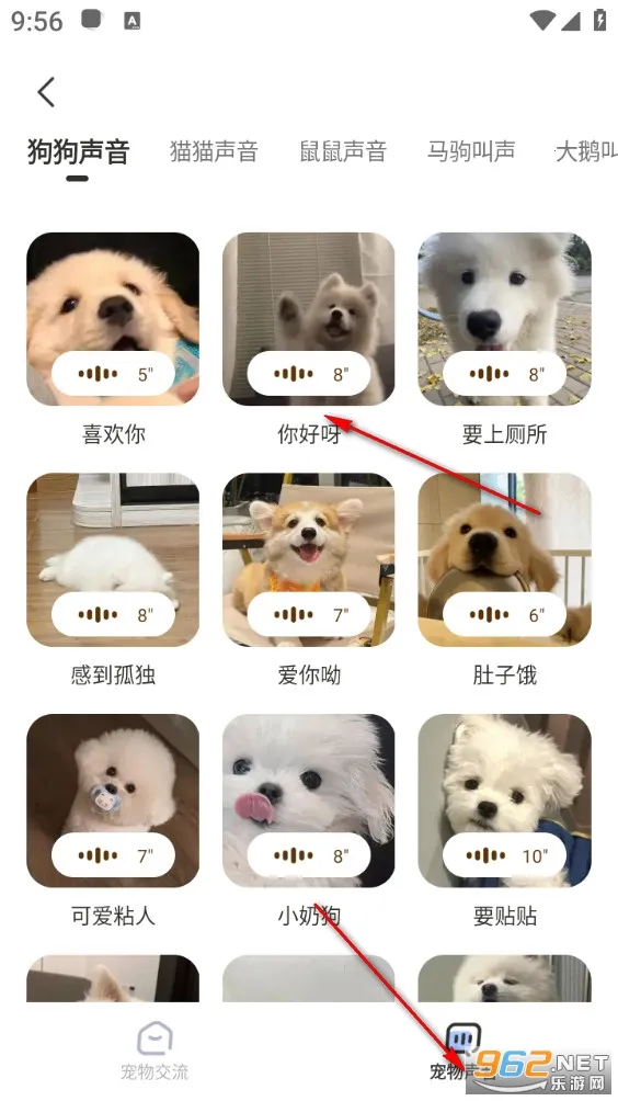 �ȳ跭����2026���ذ�װ