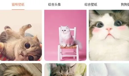 �ȳ跭����2026���ذ�װ