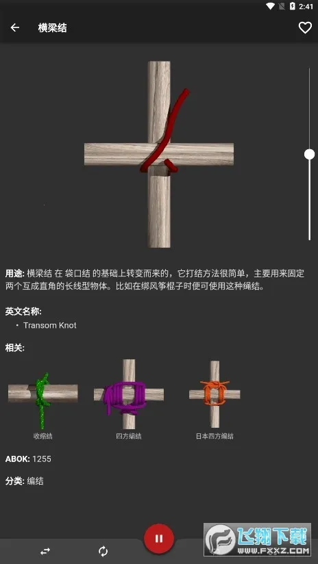 Knots 3D2026�ٷ�����