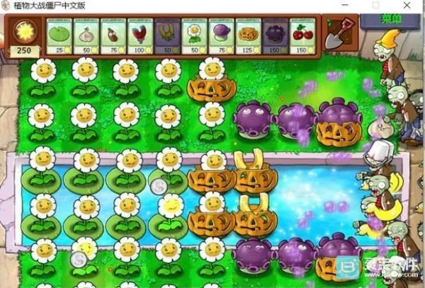植物大战僵尸C支线 植物大战僵尸C支线
