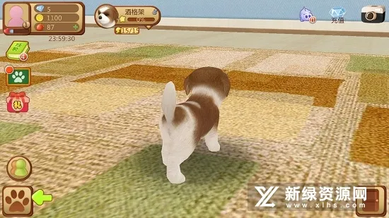 心动小狗 心动小狗