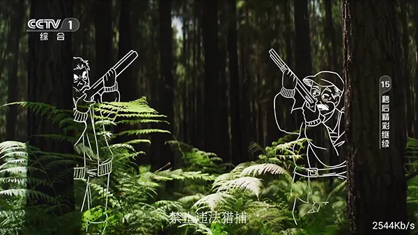 松鼠直播 松鼠直播