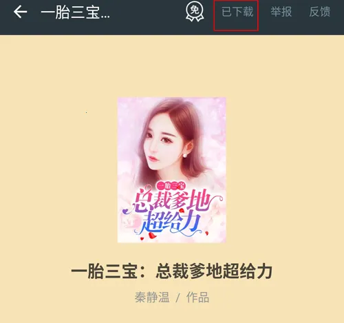 ����С˵�ɰ汾����