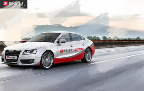 ˳��������Լ��ƽ̨