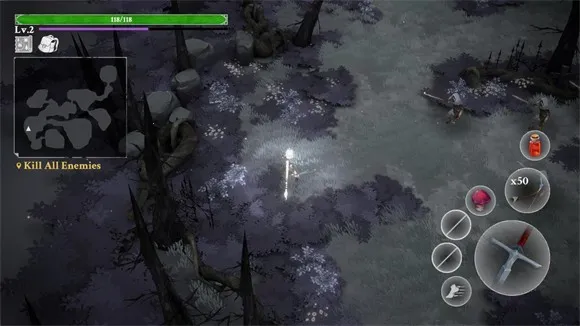 ������ֵ��κ���������