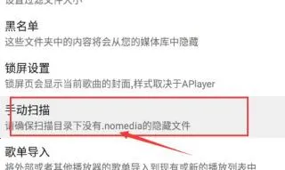 APlayer(���ֲ�������)