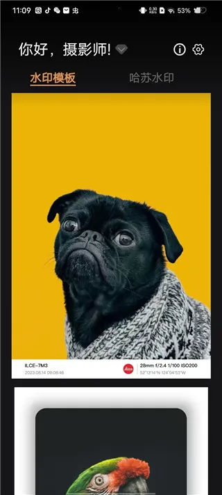 �߿�ˮӡ��ʦ2026���°汾