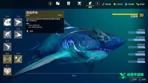 ʳ�������������������