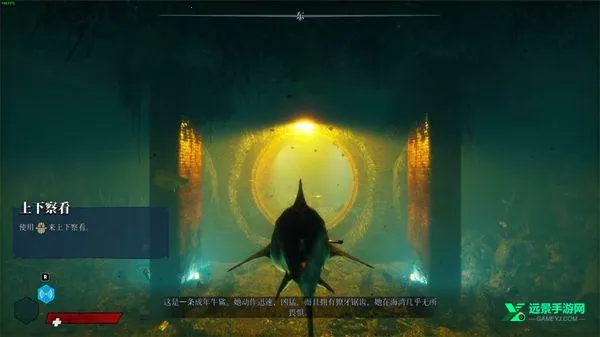 ʳ�������������������