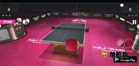 ��ʵƹ����2026���°汾