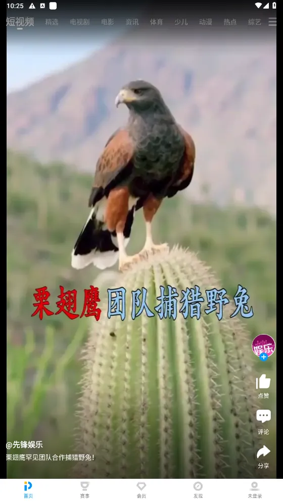 PPT��������(��Ƶ����Ӧ��)