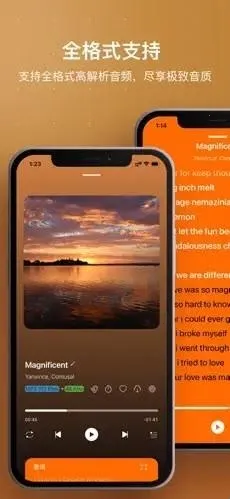 HiFier(���ֲ��Ź���)