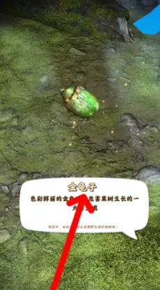 ������������ƽ��