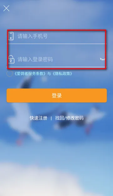 �����������ֻ���
