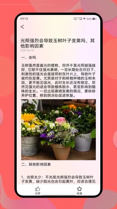 ��������׿���ֻ���