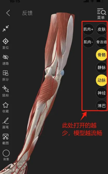 3Dbody����2026�ٷ�����