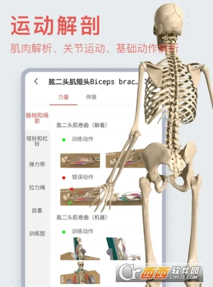 3Dbody����2026�ٷ�����