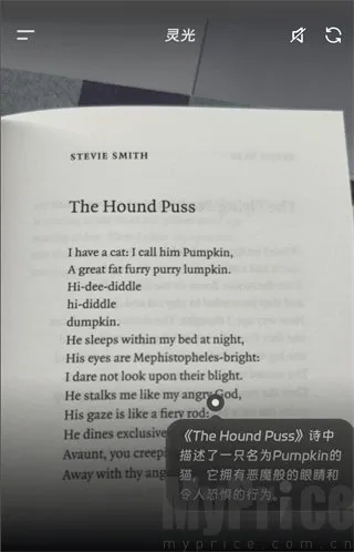 ���AI��������