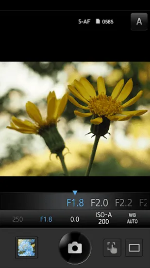 OLYMPUS Image Share2026���°汾