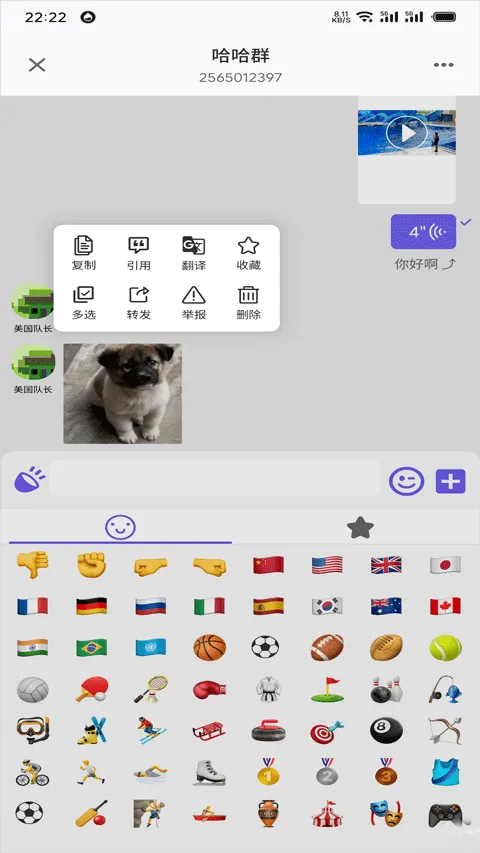 DKChat(�罻��������)