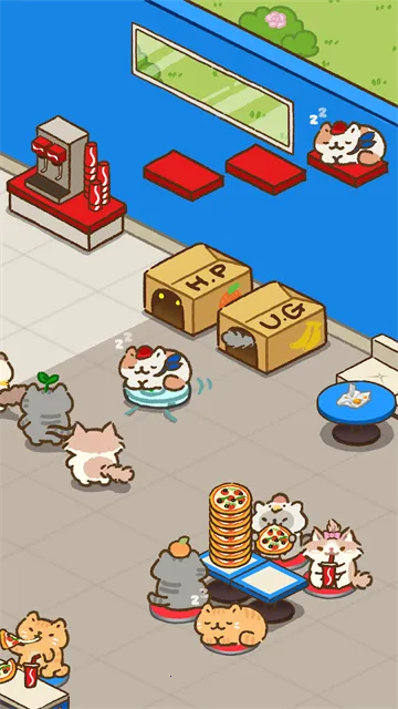����èCatPizza2026���°汾